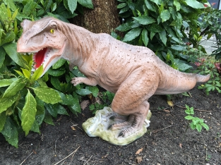 Dinosaur, beautiful statue of a Tyrannosaurus